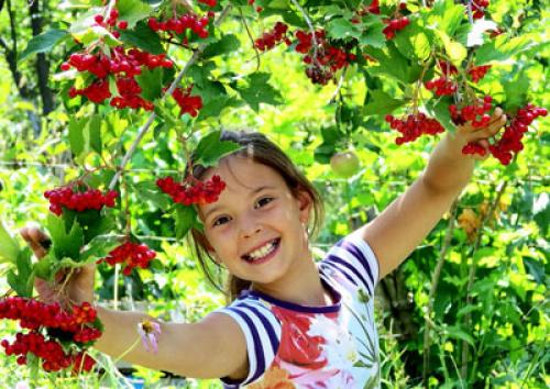 Загадки про фрукты, овощи и ягоды для детей
