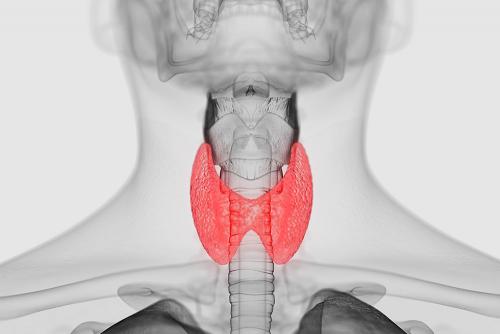 Как понять, что щитовидка не в порядке. Какие бывают заболевания щитовидной железы