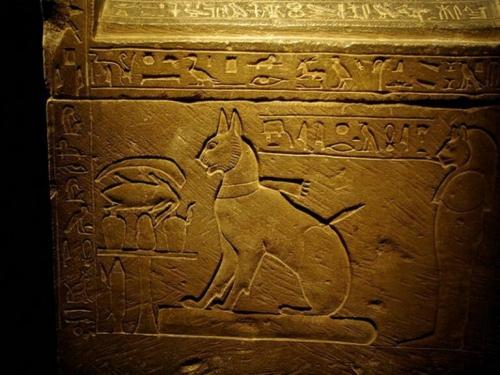 Священное животное кот. Кошачий культ: Почему Древний Египет превозносил мир кошачих?