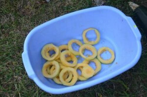 Рагу из сушеных кабачков. Сушеные кабачки , которые аукнулись в Италии, а откликнулись в России