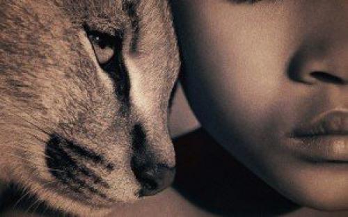 Характер человека по любимому животному. Кошки и собаки 17 Характер человека по любимому животному. Кошки и собаки 17