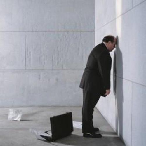 Характер человека по любимому животному. Кошки и собаки 18 Характер человека по любимому животному. Кошки и собаки 18