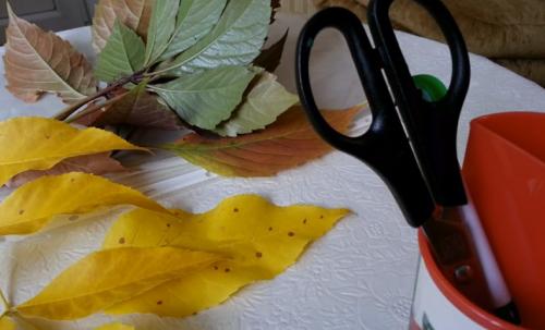 Поделки из листьев деревьев своими руками. Поделка Сова из осенних листьев деревьев — быстро и красиво