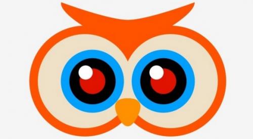 Поделки из листьев деревьев своими руками. Поделка Сова из осенних листьев деревьев — быстро и красиво