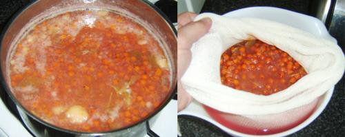 Желе из красной рябины на зиму. Желе из красной рябины с яблоками