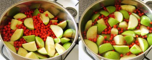 Желе из красной рябины на зиму. Желе из красной рябины с яблоками