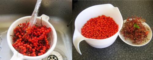 Желе из красной рябины на зиму. Желе из красной рябины с яблоками