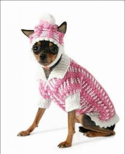 Как связать своими руками одежду для собаки. Как связать спицами одежду для собаки 08
