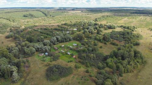 Рябина Невежинская польза и вред.   «Дорогая редакция! Объясните, как правильно говорить: «нежинская» рябина или «невежинская»?  У нас это разночтение стало предметом спора а как правильно, нигде найти не можем…»