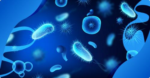 Кому противопоказаны молочные продукты: основные причины 01