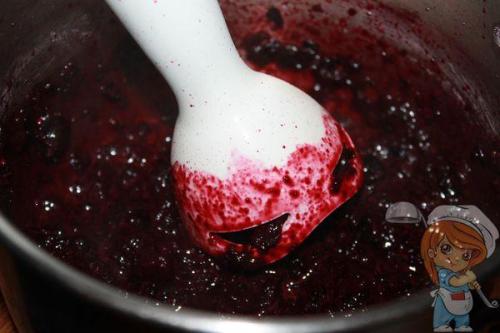 Мармелад из красной рябины. Мармелад из рябины — отличная альтернатива конфетам и вредным сладостям!