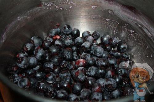 Мармелад из красной рябины. Мармелад из рябины — отличная альтернатива конфетам и вредным сладостям!