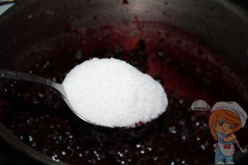 Мармелад из красной рябины. Мармелад из рябины — отличная альтернатива конфетам и вредным сладостям!