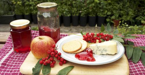 Желе из красной рябины на зиму. Желе из красной рябины с яблоками