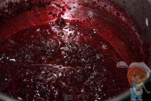 Мармелад из красной рябины. Мармелад из рябины — отличная альтернатива конфетам и вредным сладостям!