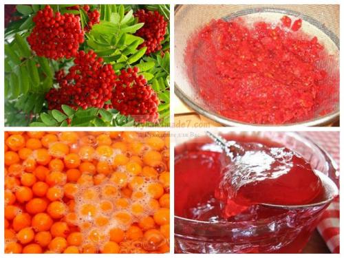Варенье из красной рябины через мясорубку. 