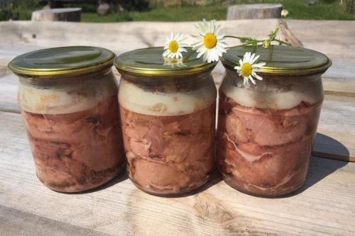 Тушеная свинина, как тушенка. Тушенка из свинины в домашних условиях: 10 простых рецептов (пошагово)