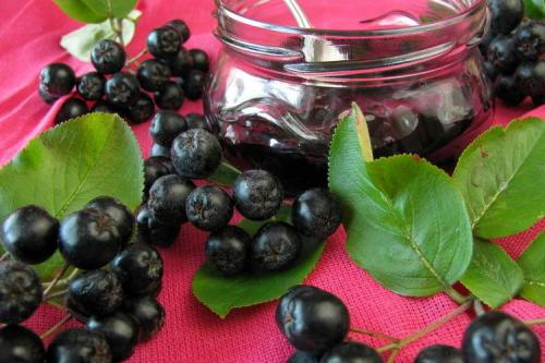 Черноплодная рябина на зиму. Рецепты для заготовки черноплодной рябины на зиму