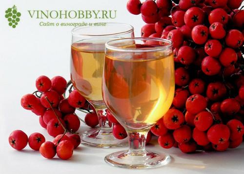 Вино из рябины. Оригинальный напиток – вино из рябины в домашних условиях