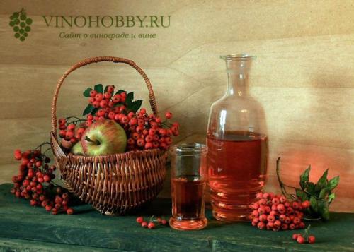 Вино из рябины. Оригинальный напиток – вино из рябины в домашних условиях