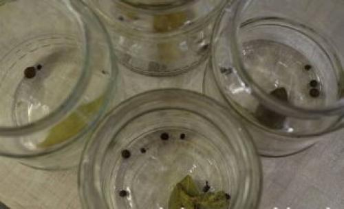 Рецепт домашней тушенки из свинины в кастрюле. Домашняя тушенка из свинины в стеклянных банках на зиму