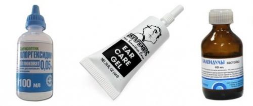 Как обработать уши после прокалывания. Лечение 03 Как обработать уши после прокалывания. Лечение 03