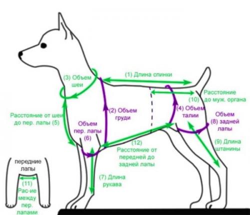 Можно ли шить свитер для питомца самостоятельно. Одежда для собак своими руками выкройки