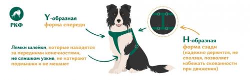 Уютные вещи для вашего маленького друга: вязание для собак мелких пород спицами и крючком 03 Уютные вещи для вашего маленького друга: вязание для собак мелких пород спицами и крючком 03