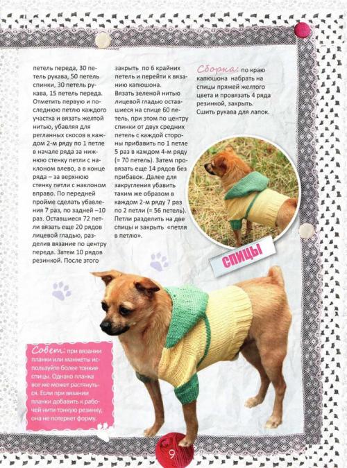 Как ухаживать за связанной одеждой для собаки. Вязаная одежа для животных - схемы и гайд по материалам