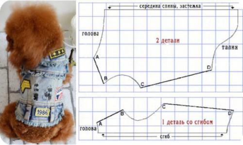 Можно ли шить свитер для питомца самостоятельно. Одежда для собак своими руками выкройки
