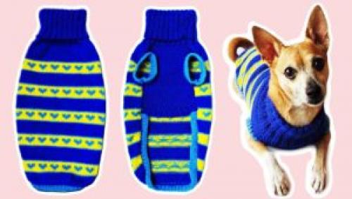 Свитер для кота или маленькой собачки. Как связать собаке свитер спицами (для начинающих)