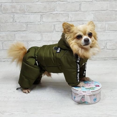 Какие детали в одежде для собак требуют особого внимания при пошиве по схеме. Выкройка комбинезона для собаки —, как построить выкройку и сшить комбинезон пошагово с фото: для чихуахуа, йорка, собак крупных пород