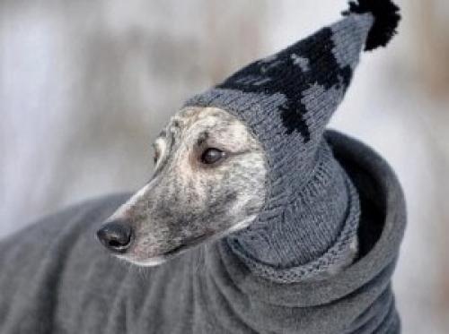 Уютные вещи для вашего маленького друга: вязание для собак мелких пород спицами и крючком 06 Уютные вещи для вашего маленького друга: вязание для собак мелких пород спицами и крючком 06