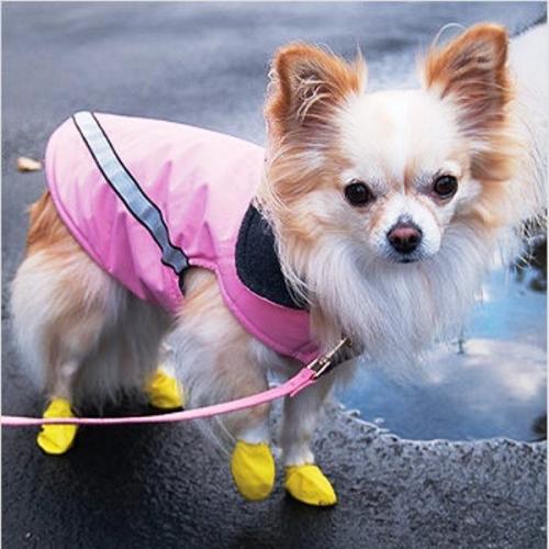 Какие материалы лучше всего использовать для одежды чихуахуа. Одежда для чихуахуа — для щенков, девочек и мальчиков