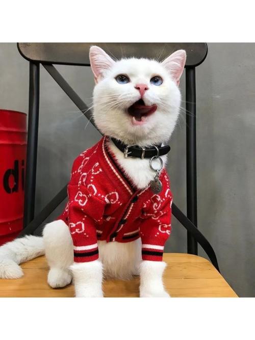 Какие узоры самые популярные для новогодних свитеров для собак. Новогодний свитер для собаки: 59 фото и видео