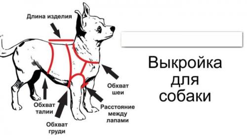 Можно ли шить свитер для питомца самостоятельно. Одежда для собак своими руками выкройки