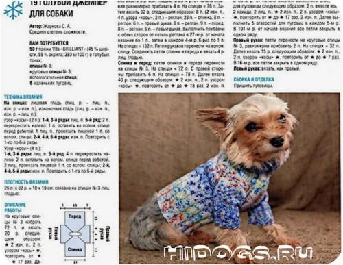 Связать для чихуахуа одежду своими руками: пошаговое руководство для начинающих 09 Связать для чихуахуа одежду своими руками: пошаговое руководство для начинающих 09