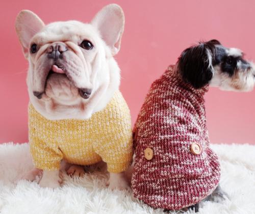 Можно ли добавить дополнительные украшения, например, пайетки или бусины, на свитер для собаки. Как связать свитер для собаки своими руками — пошаговая схема