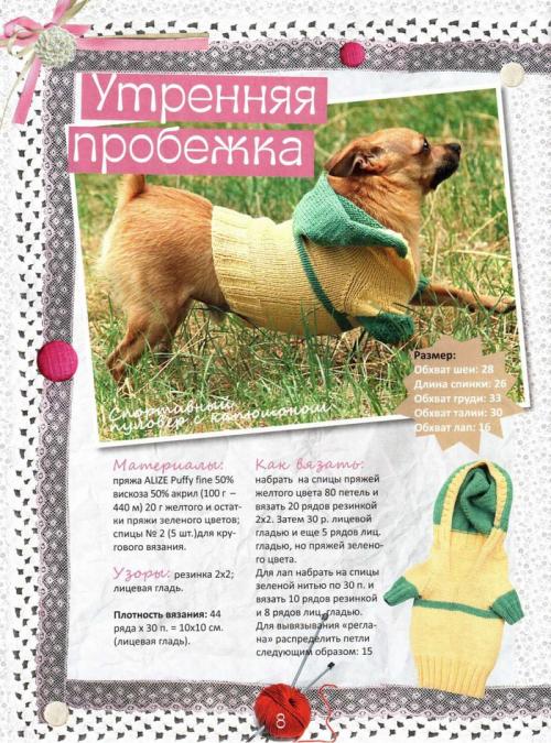 Как ухаживать за связанной одеждой для собаки. Вязаная одежа для животных - схемы и гайд по материалам