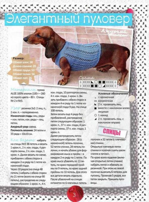 Как ухаживать за связанной одеждой для собаки. Вязаная одежа для животных - схемы и гайд по материалам