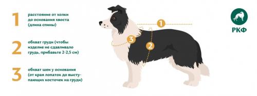 Уютные вещи для вашего маленького друга: вязание для собак мелких пород спицами и крючком 04 Уютные вещи для вашего маленького друга: вязание для собак мелких пород спицами и крючком 04