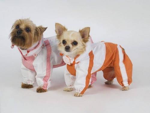 Какие детали в одежде для собак требуют особого внимания при пошиве по схеме. Выкройка комбинезона для собаки —, как построить выкройку и сшить комбинезон пошагово с фото: для чихуахуа, йорка, собак крупных пород