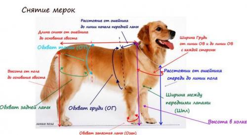 Какие детали в одежде для собак требуют особого внимания при пошиве по схеме. Выкройка комбинезона для собаки —, как построить выкройку и сшить комбинезон пошагово с фото: для чихуахуа, йорка, собак крупных пород