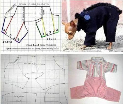 Можно ли шить свитер для питомца самостоятельно. Одежда для собак своими руками выкройки