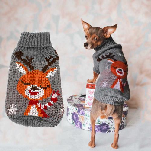 Какие материалы лучше всего использовать для одежды чихуахуа. Одежда для чихуахуа — для щенков, девочек и мальчиков