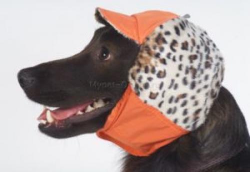 Как связать шапочку или шарф для собаки: советы и рекомендации. Шапки для собак своими руками