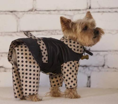 Какие детали в одежде для собак требуют особого внимания при пошиве по схеме. Выкройка комбинезона для собаки —, как построить выкройку и сшить комбинезон пошагово с фото: для чихуахуа, йорка, собак крупных пород