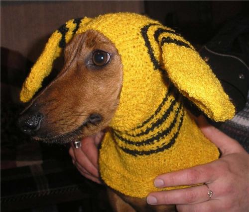 Как связать шапочку или шарф для собаки: советы и рекомендации. Шапки для собак своими руками