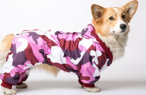 Можно ли добавить капюшон к комбинезону для собаки. Пошаговая инструкция по шитью