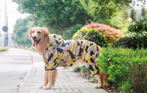 В чем разница между вязаным комбинезоном и обычным свитером для собаки. Виды одежды для собак